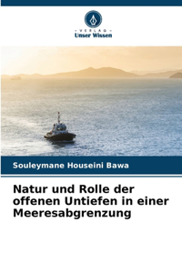 Natur und Rolle der offenen Untiefen in einer Meeresabgrenzung