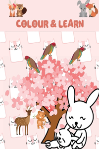 Colour & Learn
