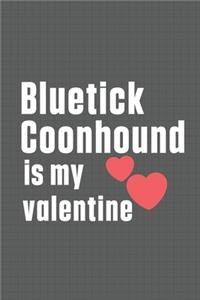 Bluetick Coonhound is my valentine