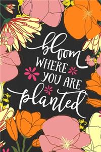 Bloom Where You are Planted Inspirational Quote Journal, 120 Pages of Blank Dot Grid Paper for Writing, Notebook Diary 6x9