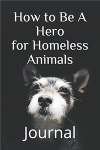 How to Be A Hero to Homeless Animals