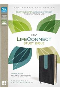 NIV, LifeConnect Study Bible, Leathersoft, Gray/Blue, Red Letter Edition