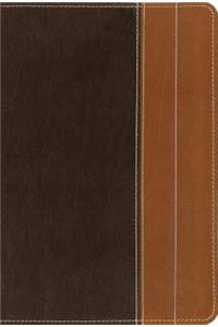 NIV, Essentials Study Bible, Leathersoft, Brown/Tan