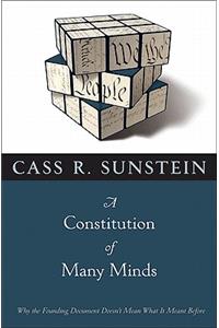 Constitution of Many Minds