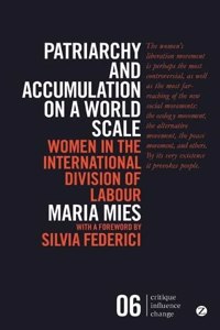 Patriarchy and Accumulation on a World Scale: Women in the International Division of Labour (Critique Influence Change)