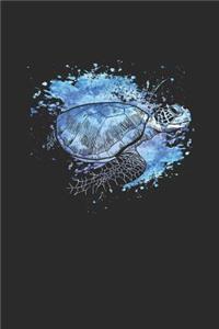 Turtles