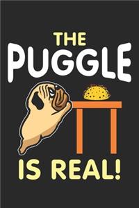 The Puggle Is Real