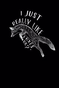 I Just Really Like Foxes OK?