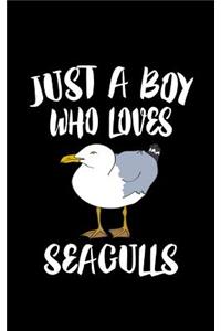 Just A Boy Who Loves Seagulls