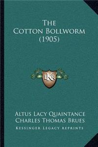 Cotton Bollworm (1905)