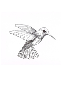 When the Trochilidae Die