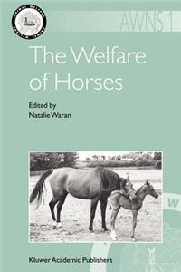 Welfare of Horses