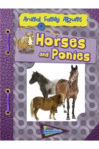 Horses and Ponies