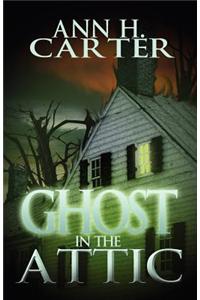 Ghost in the Attic
