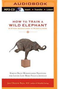 How to Train a Wild Elephant & Other Adventures in Mindfulness