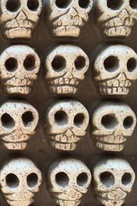 Skull Journal: 160 Page Lined Journal/Notebook