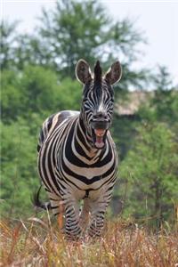 Laughing Zebra Journal