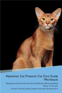 Abyssinian Cat Presents