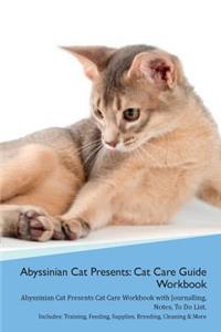 Abyssinian Cat Presents