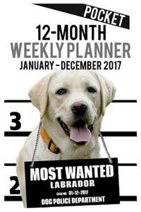 2017 Pocket Weekly Planner - Most Wanted Labrador