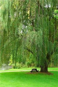 Glorious Green Weeping Willow Tree in a Park in the Summer Journal