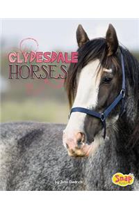 Clydesdale Horses