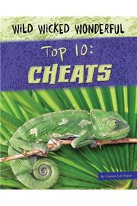Top 10: Cheats
