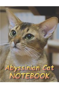Abyssinian Cat NOTEBOOK