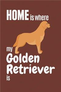 Home is where my Golden Retriever is