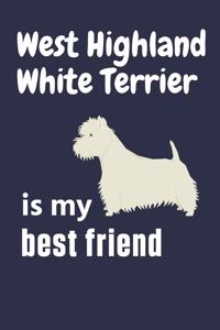 West Highland White Terrier is my best friend