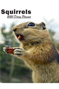 Squirrels 2020 Diary Planner