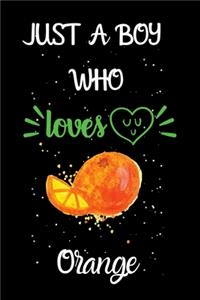 Just A Boy Who Loves Orange