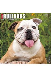 Just Bulldogs 2017 Wall Calendar