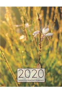 2020 Weekly & Monthly Planner