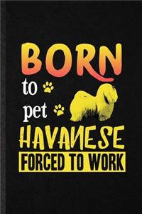 Born to Pet Havanese Forced to Work