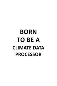 Born To Be A Climate Data Processor