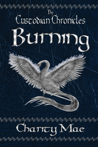 The Custodian Chronicles Burning