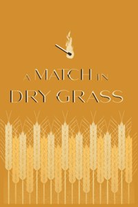 Match in Dry Grass