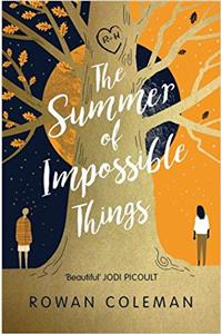 Summer of Impossible Things