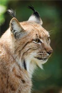 Notebook - Big Cat