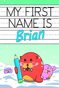 My First Name Is Brian