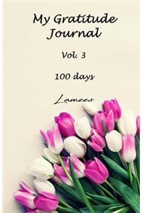 My Gratitude Journal Vol. 3 100 days