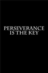 Perseverance Is The Key
