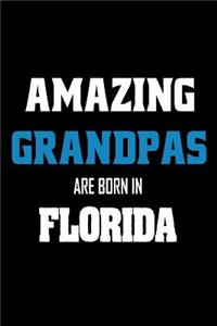 Amazing Grandpas Are Born In Florida