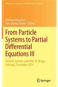 From Particle Systems to Partial Differential Equations III