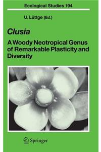 Clusia