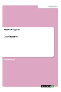 Grundlagen der Energiegewinnung. Vor- und Nachteile der Geothermie