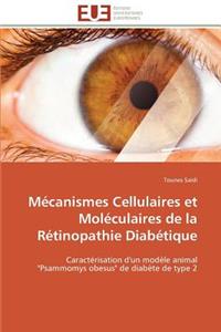 Mécanismes cellulaires et moléculaires de la rétinopathie diabétique