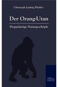 Der Orang-Outan