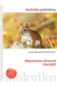 Abyssinian Ground Hornbill